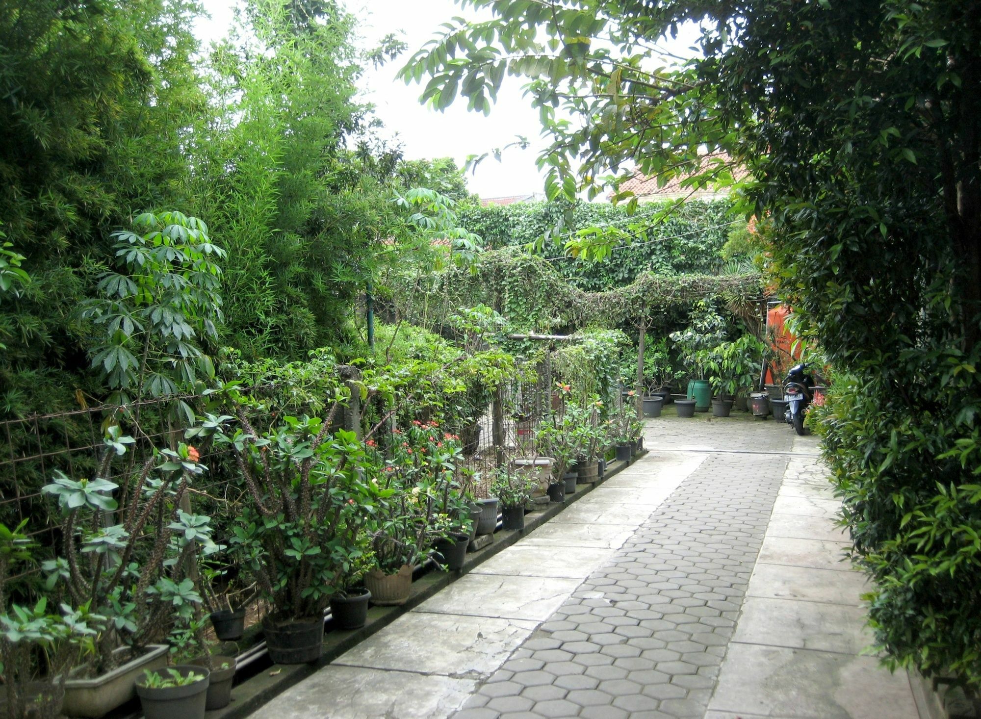Orange Homes Syariah - Zuzu Bandung
